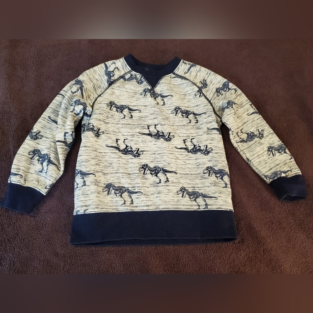 Gymboree Sweatshirt